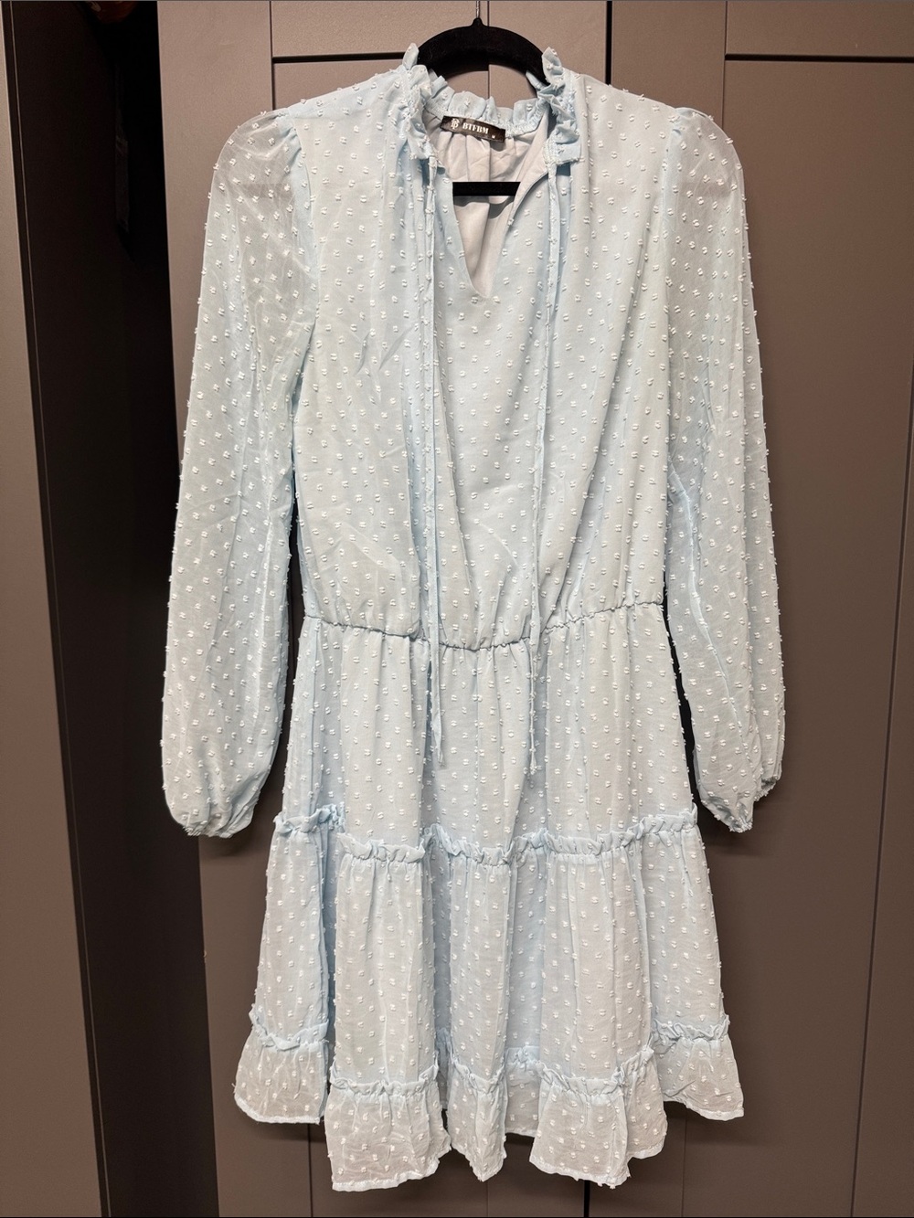 Light Blue Swiss Dot Long Sleeve Tiered Dress